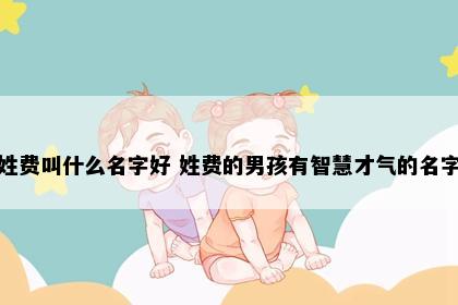 姓费叫什么名字好 姓费的男孩有智慧才气的名字